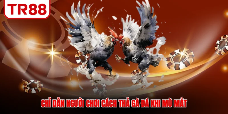 Chỉ dẫn người chơi cách thả gà đá khi mù mắt