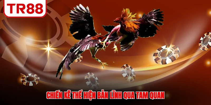 Chiến kê thể hiện bản lĩnh qua tam quan