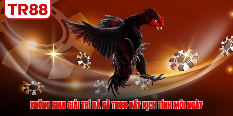 Không gian giải trí đá gà TR88 đầy kịch tính mỗi ngày