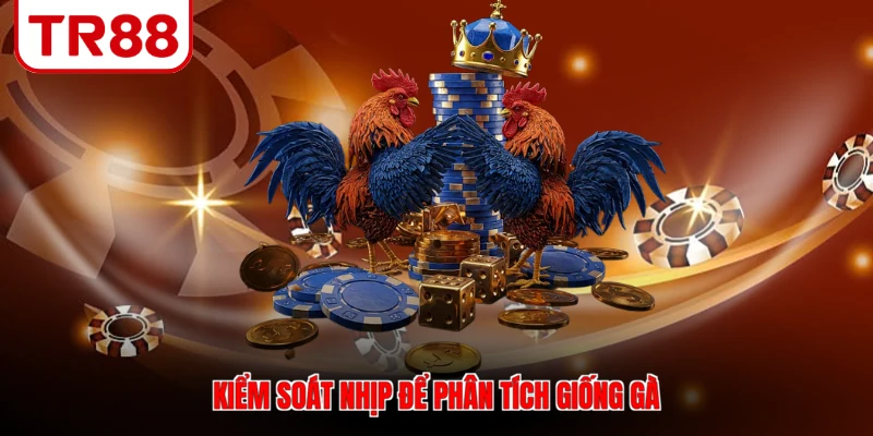 Kiểm soát nhịp để phân tích giống gà