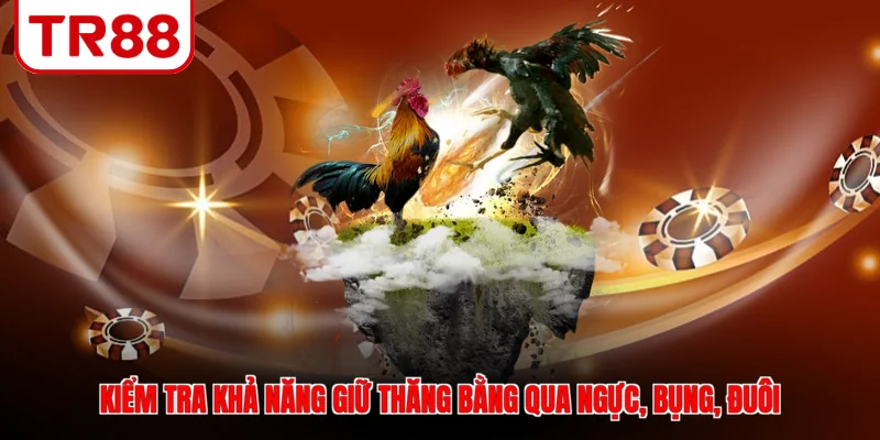 Kiểm tra khả năng giữ thăng bằng qua ngực, bụng, đuôi