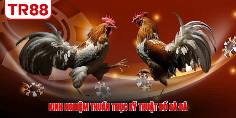 Kinh nghiệm thuần thục kỹ thuật đổ gà đá
