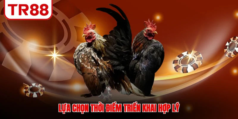 Lựa chọn thời điểm triển khai hợp lý