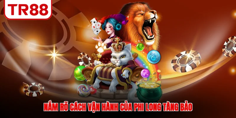 Nắm rõ cách vận hành của phi long tàng bảo