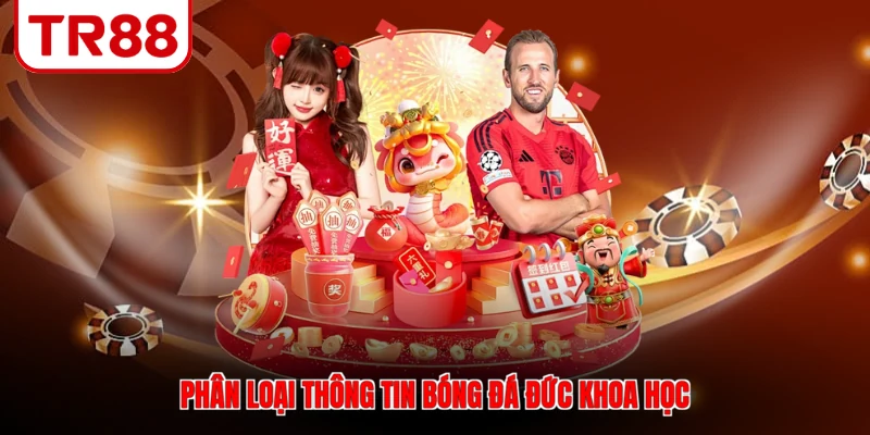 Phân loại thông tin bóng đá Đức khoa học