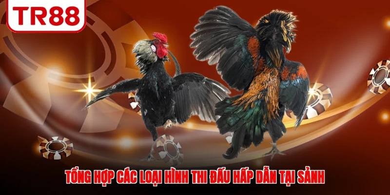 Tổng hợp các loại hình thi đấu hấp dẫn tại sảnh